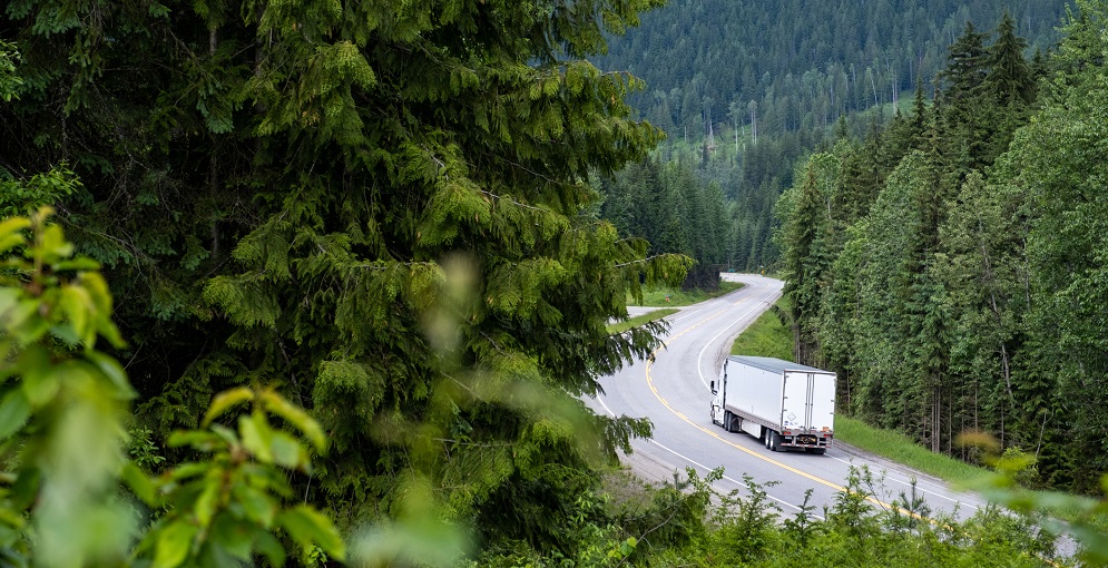 Truck in Woods