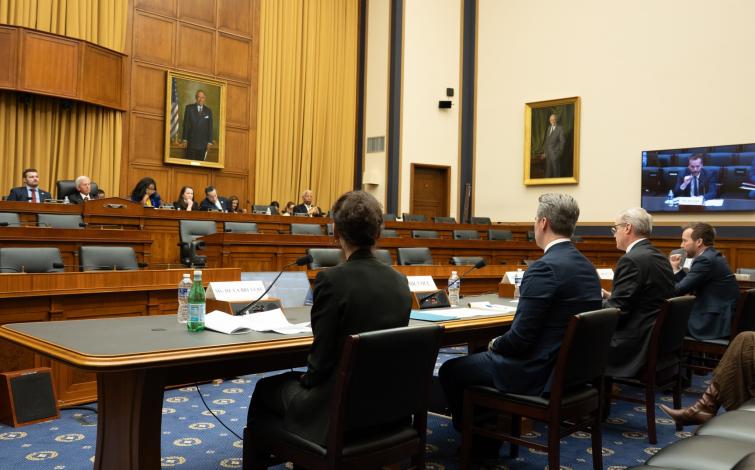 Spear at January 2026 Judiciary Hearing